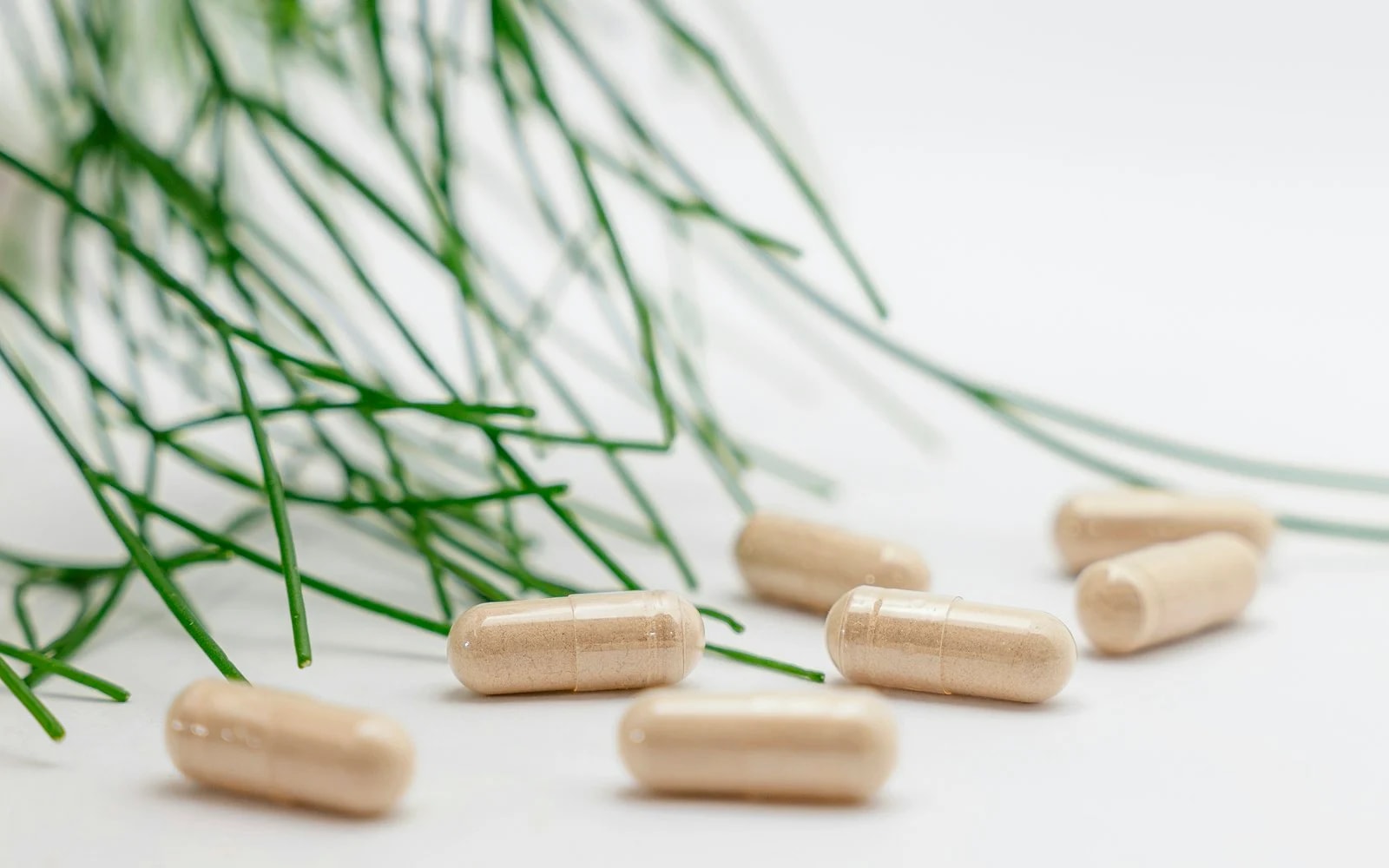 Beige supplement capsules scattered on a white surface next to green plant stems