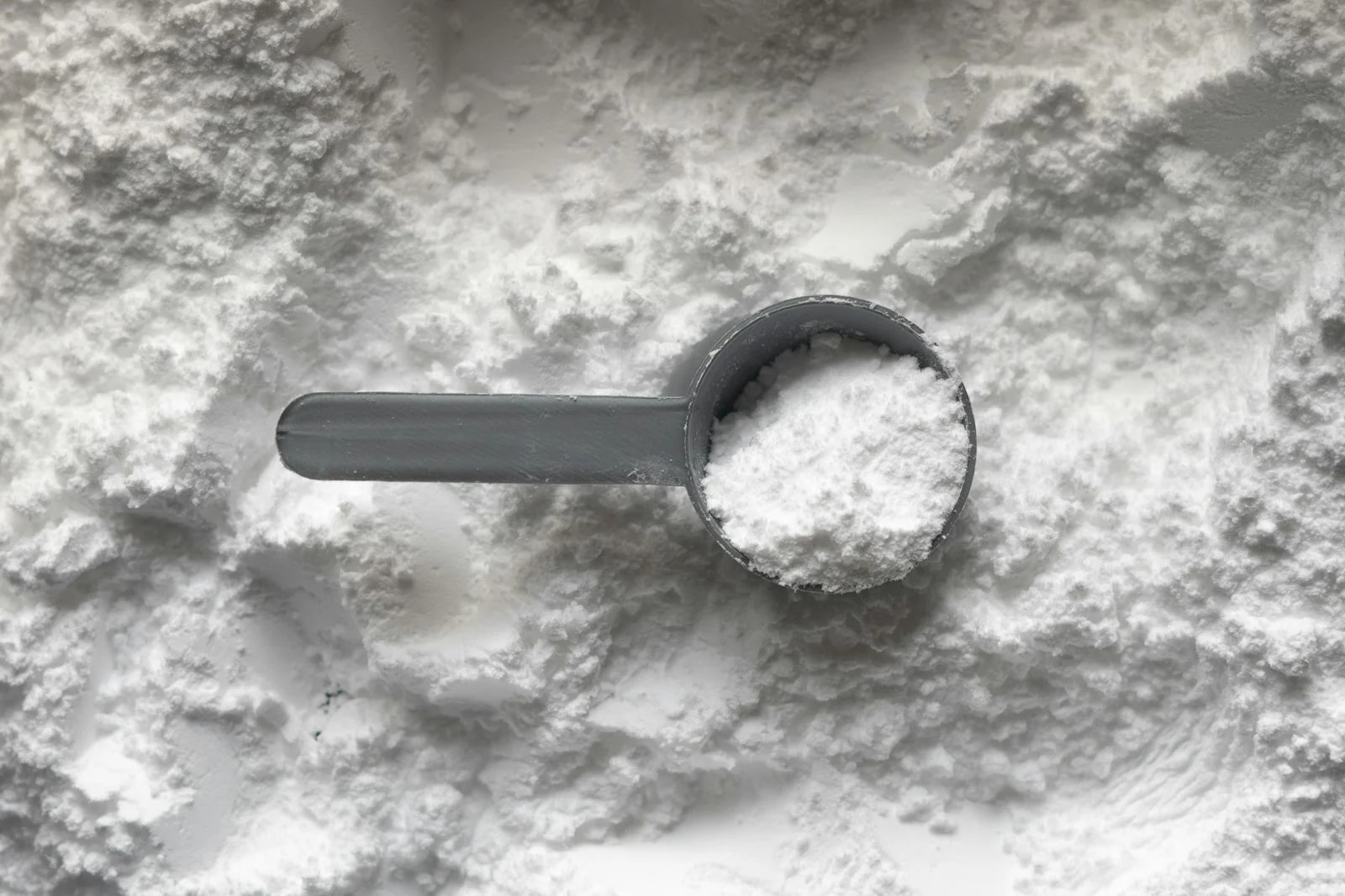 A grey scoop filled with white creatine powder resting on a bed of more powder