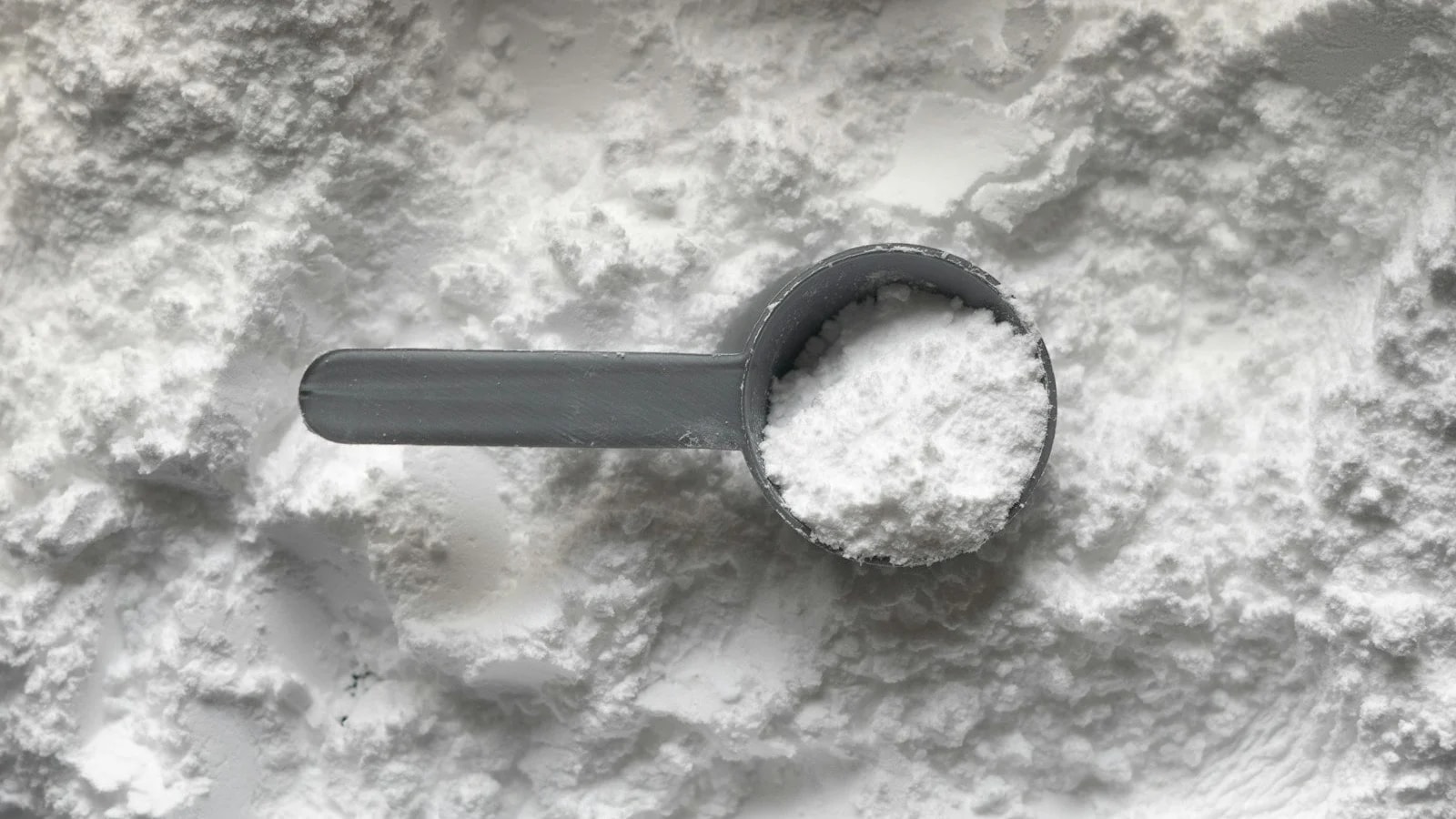 A grey plastic scoop filled with white powder resting on a bed of powder